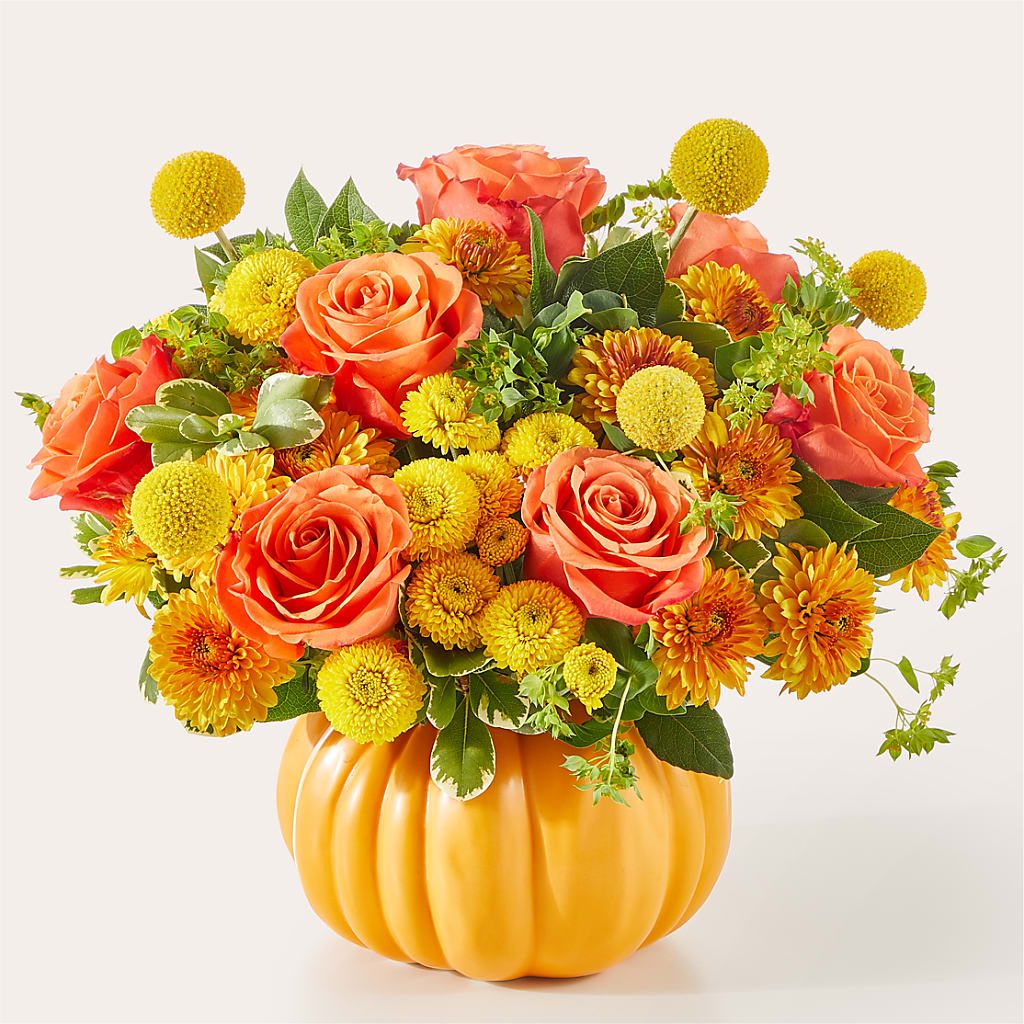 Gourdgeous Pumpkin – GEORGE'S FLOWERS, Los Angeles CA