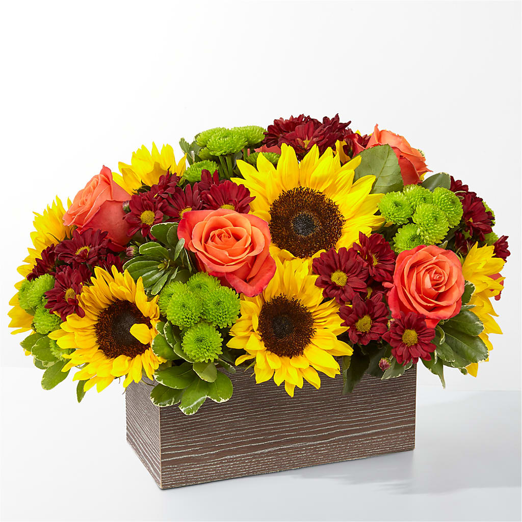 Happy Harvest Garden – GEORGE'S FLOWERS, Los Angeles CA