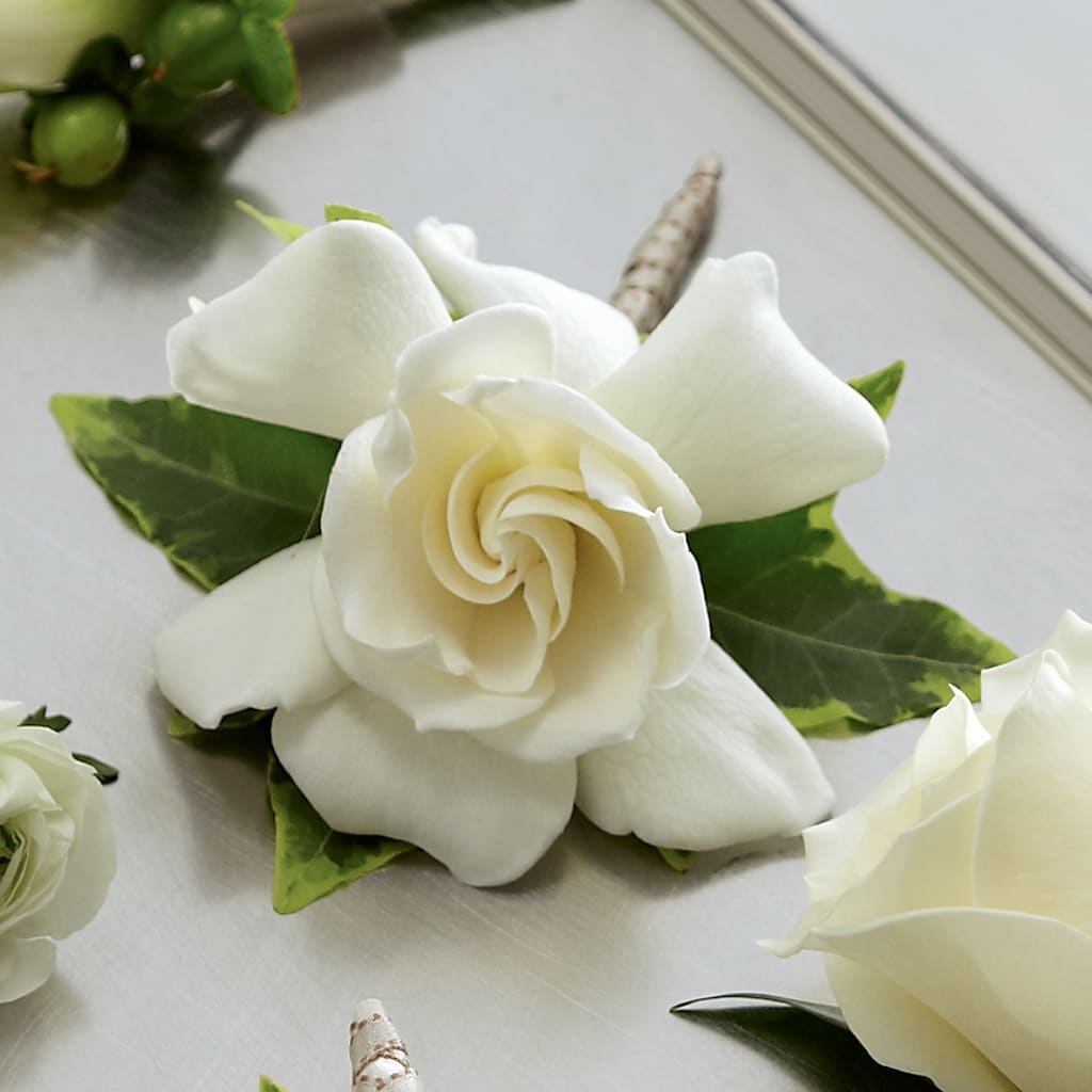 Gardenia Boutonniere – GEORGE'S FLOWERS, Los Angeles CA
