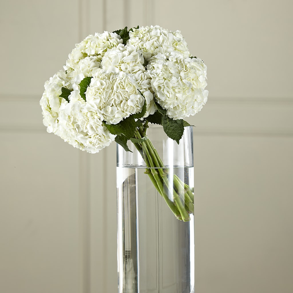 White Hydrangea Hand-Tied Bouquet – GEORGE'S FLOWERS, Los Angeles CA
