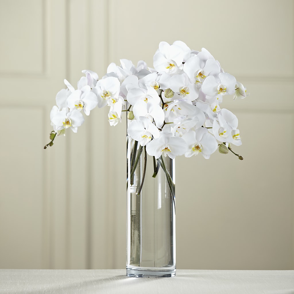 White Phalaenopsis Bouquet – GEORGE'S FLOWERS, Los Angeles CA