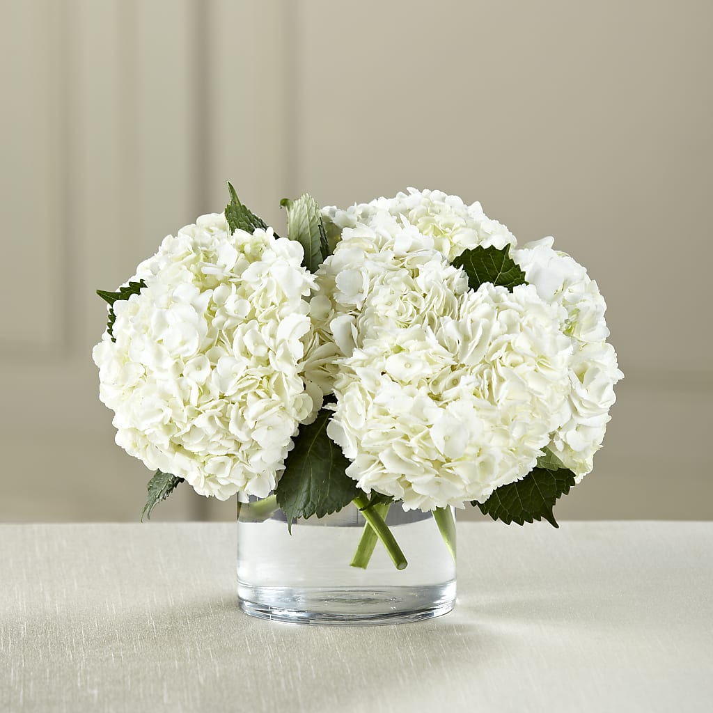 White Hydrangea Bouquet – GEORGE'S FLOWERS, Los Angeles CA