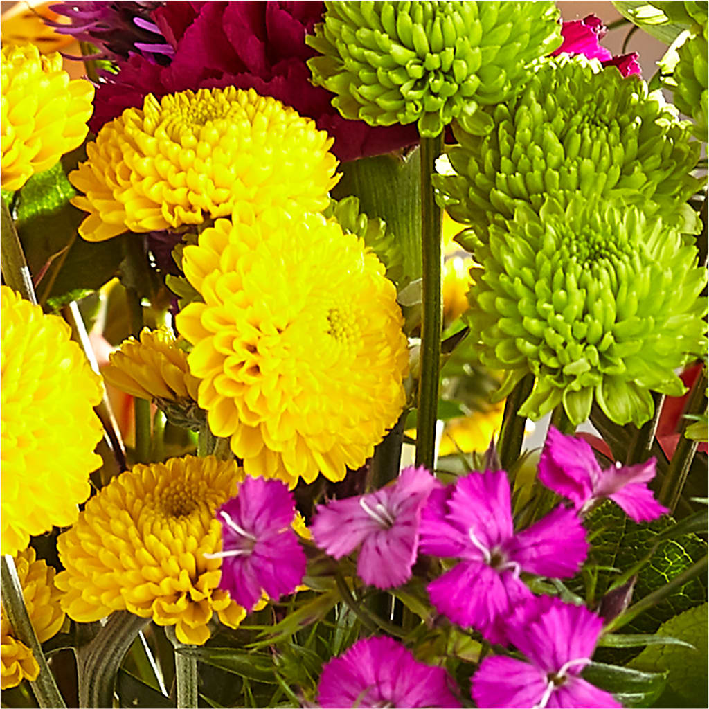 Bold & Bright – A Florist Original – GEORGE'S FLOWERS, Los Angeles CA