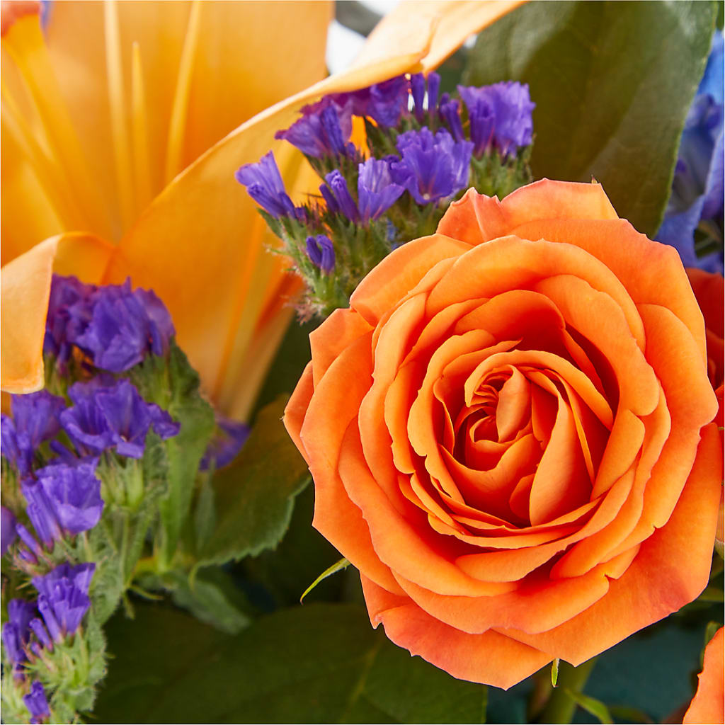 Radiant Citrus Box Bouquet – GEORGE'S FLOWERS, Los Angeles CA