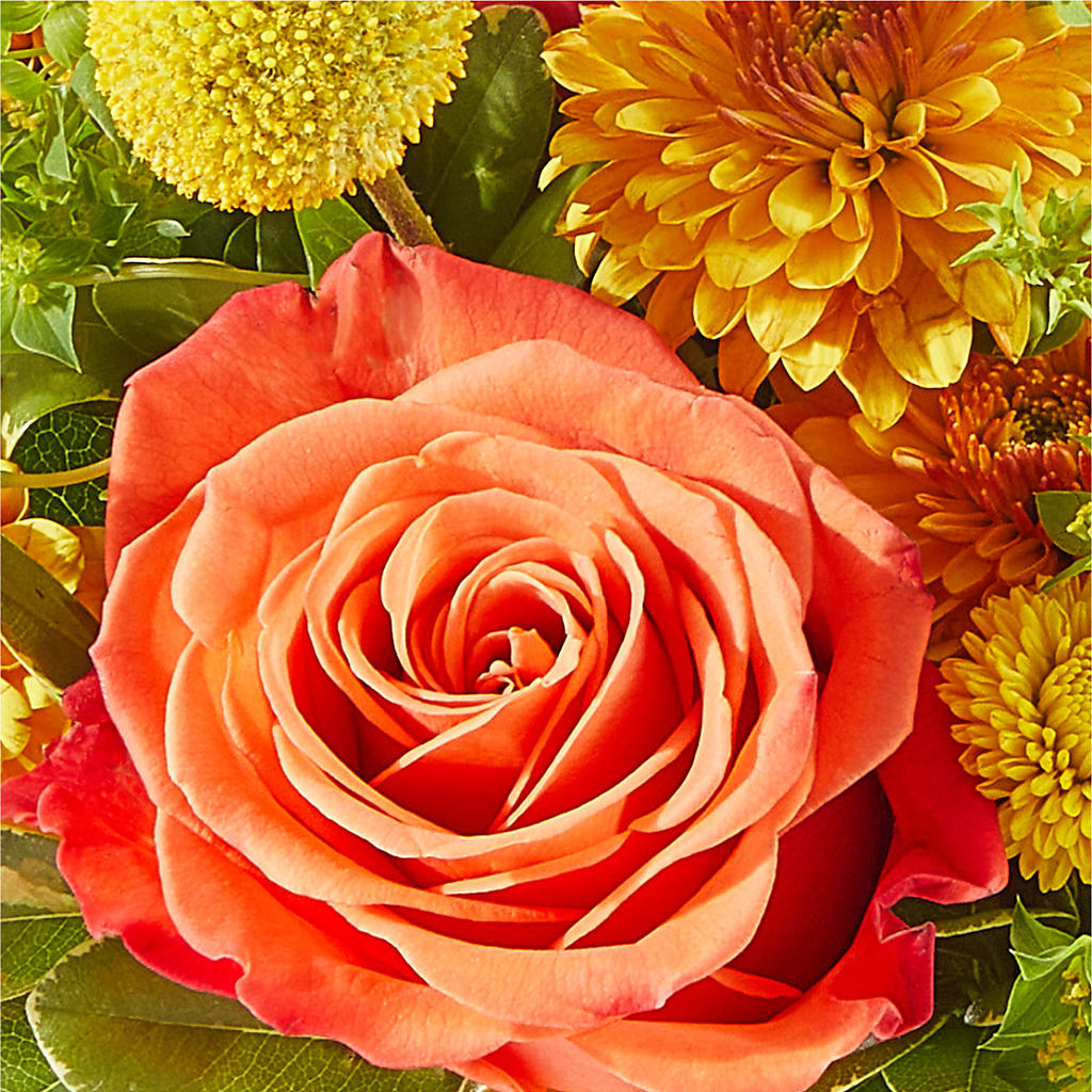 Gourdgeous Pumpkin – GEORGE'S FLOWERS, Los Angeles CA