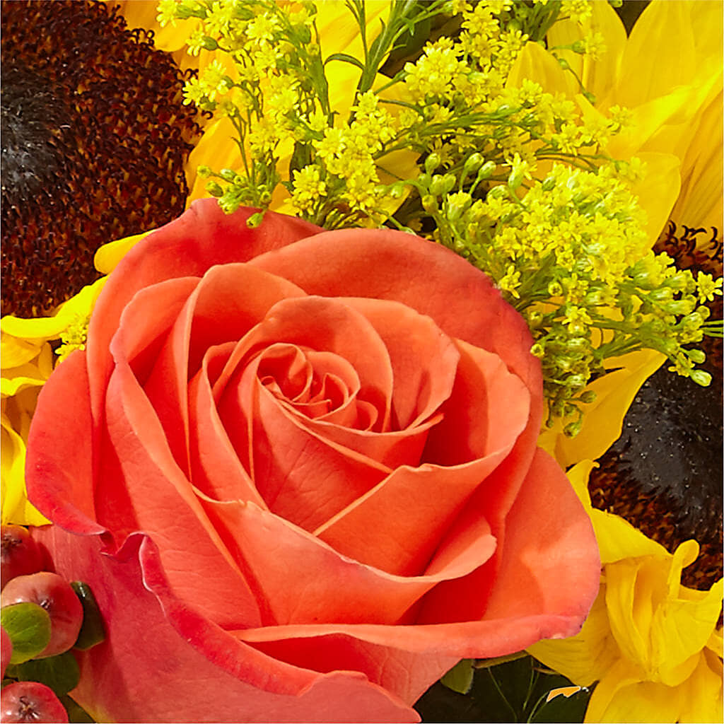 Pick of the Patch Pumpkin Bouquet – GEORGE'S FLOWERS, Los Angeles CA