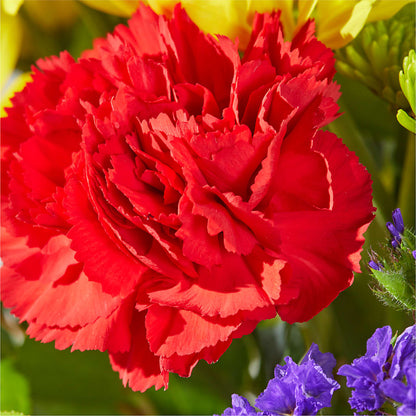 Brighter Days Bouquet – GEORGE'S FLOWERS, Los Angeles CA