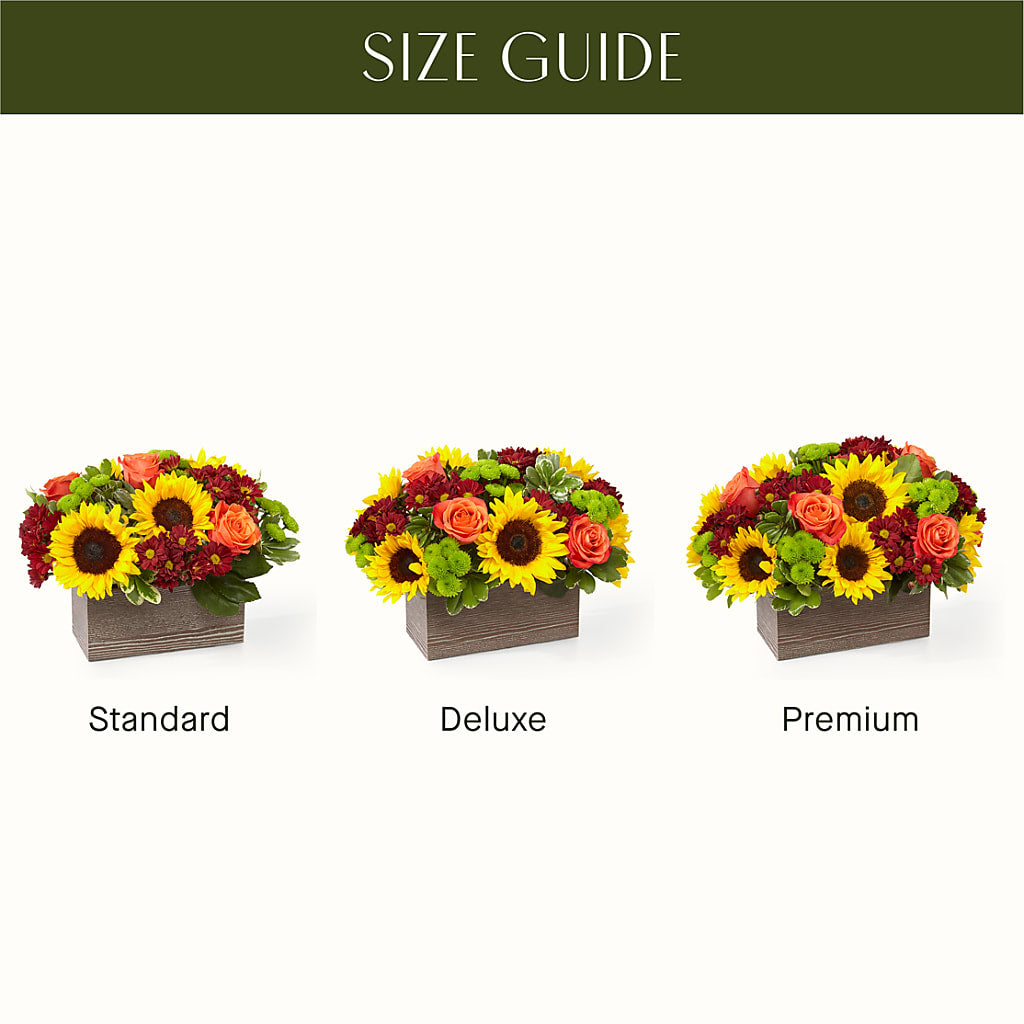 Happy Harvest Garden – GEORGE'S FLOWERS, Los Angeles CA