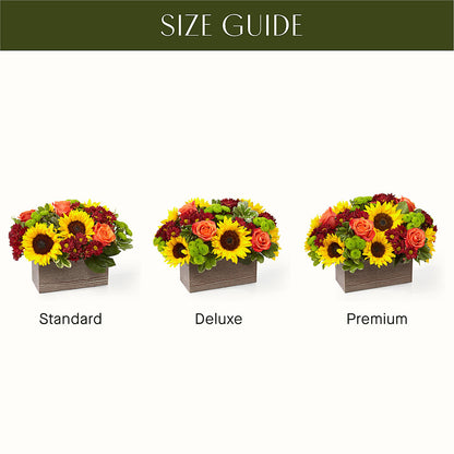 Happy Harvest Garden – GEORGE'S FLOWERS, Los Angeles CA