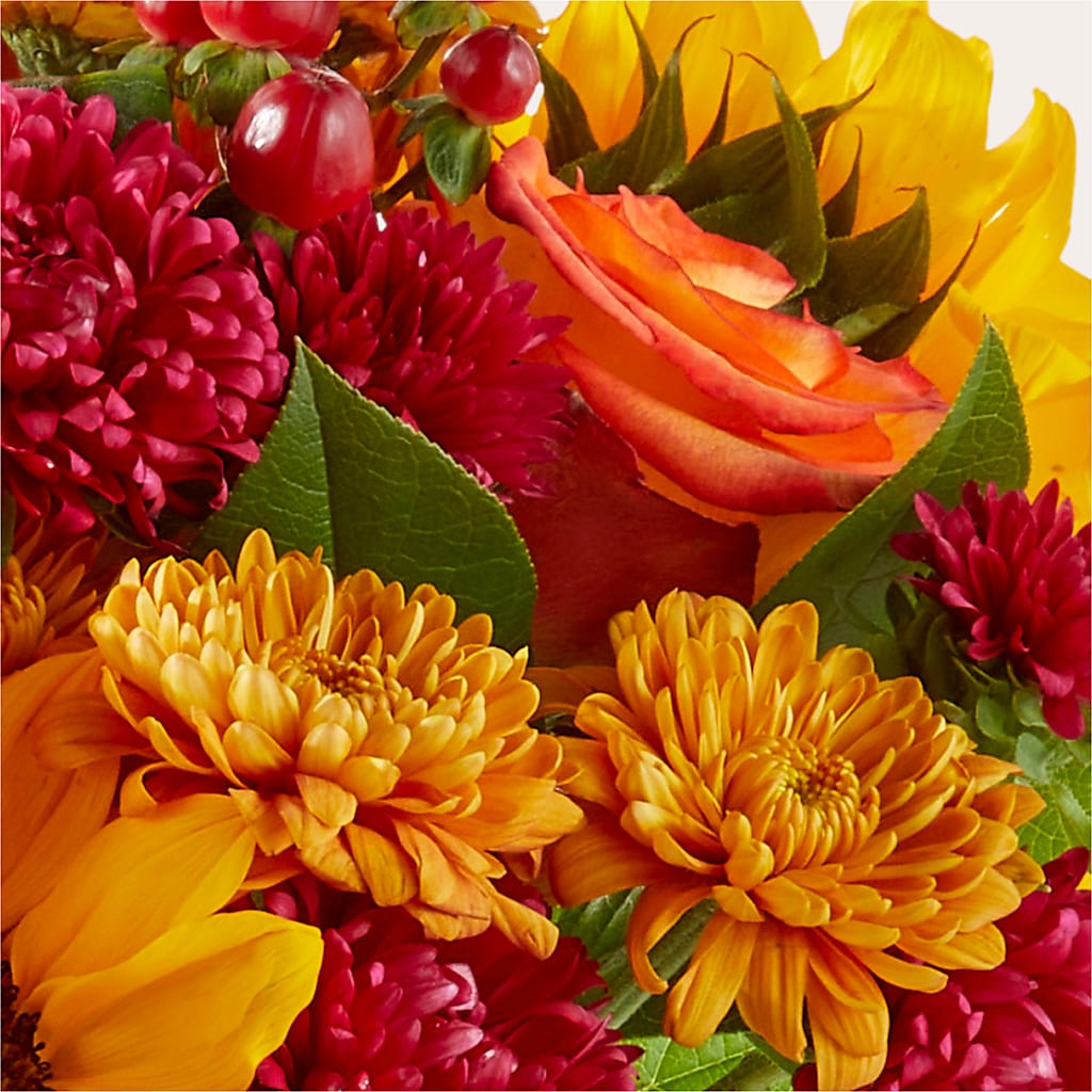 Sweater Season - A Florist Original – GEORGE'S FLOWERS, Los Angeles CA