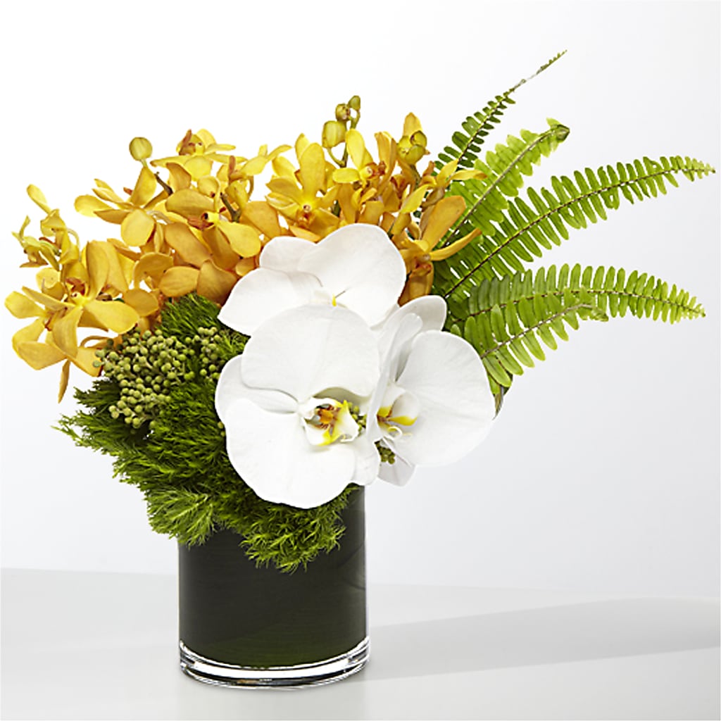The Tropics – GEORGE'S FLOWERS, Los Angeles CA