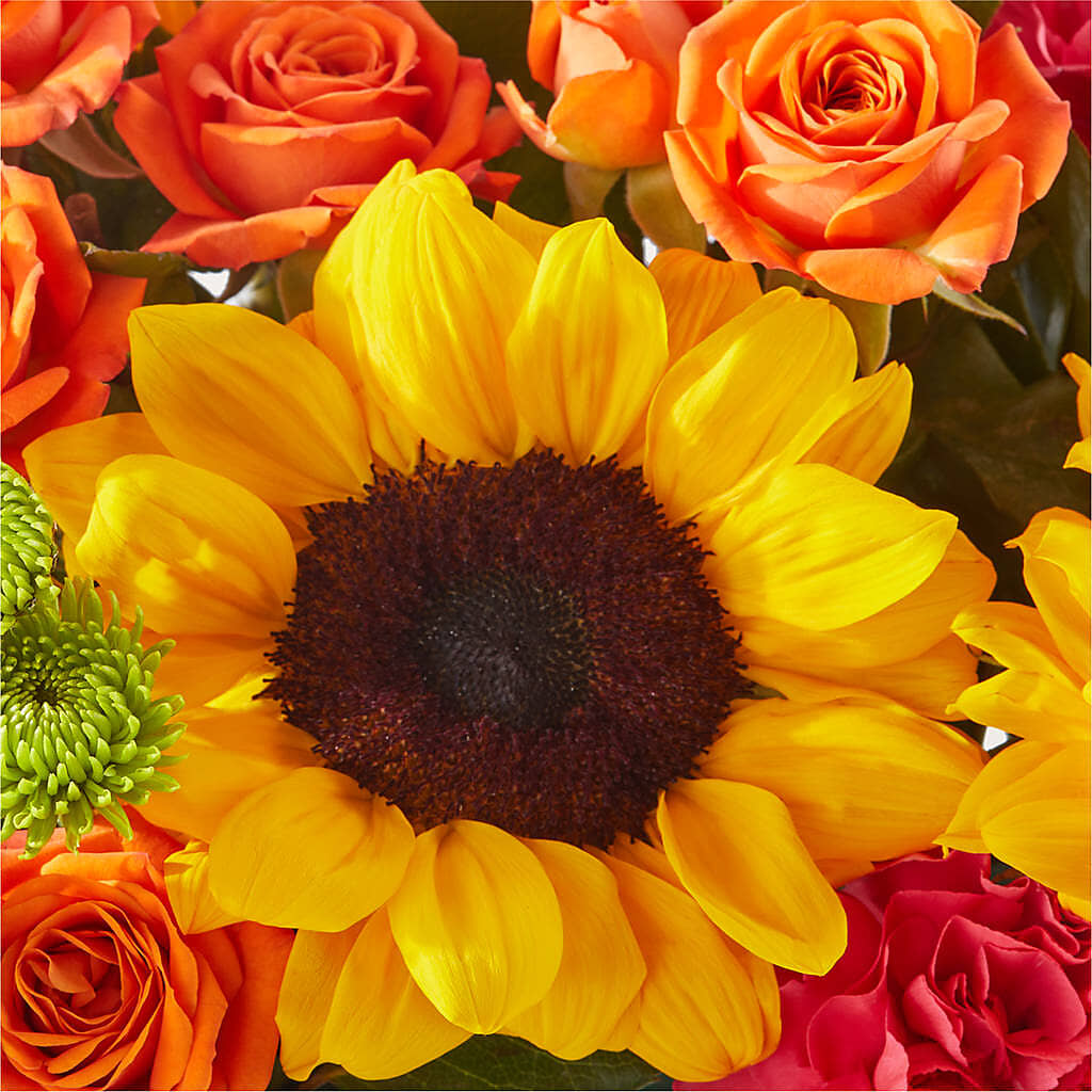 Sun-drenched Blooms Box Bouquet – GEORGE'S FLOWERS, Los Angeles CA