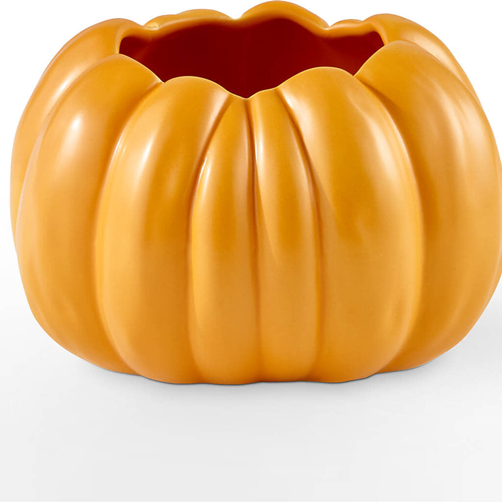 Pick of the Patch Pumpkin Bouquet – GEORGE'S FLOWERS, Los Angeles CA