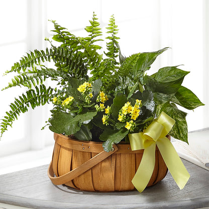 Always Dear Dishgarden – GEORGE'S FLOWERS, Los Angeles CA
