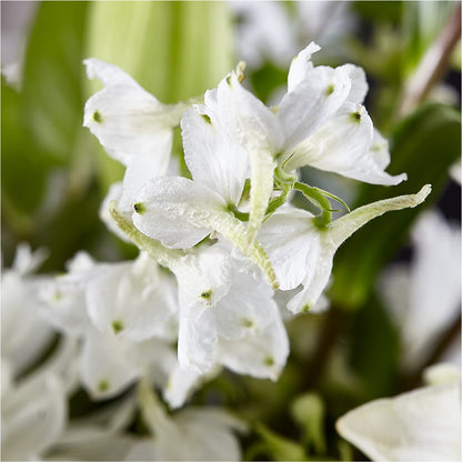 Classic Ivory – A Florist Original – GEORGE'S FLOWERS, Los Angeles CA