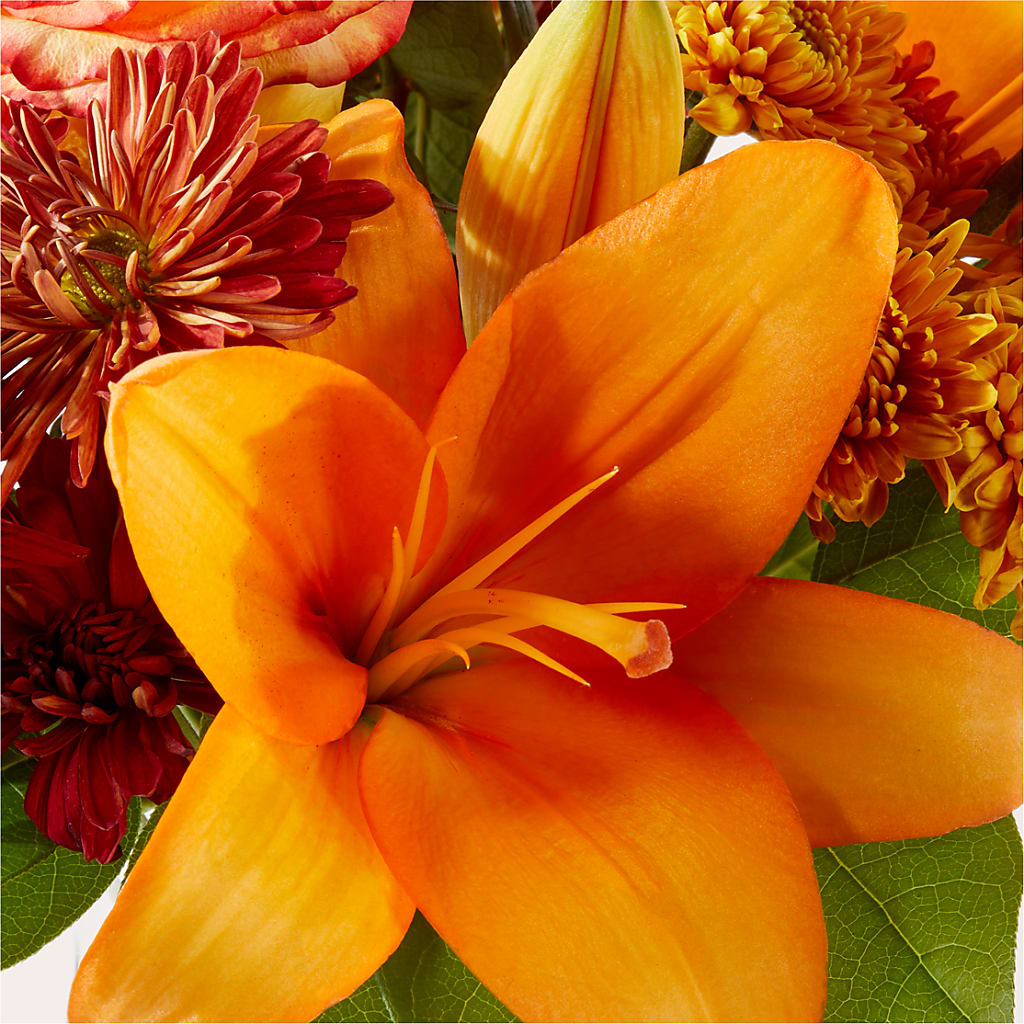 Autumnal Aroma Bouquet – GEORGE'S FLOWERS, Los Angeles CA