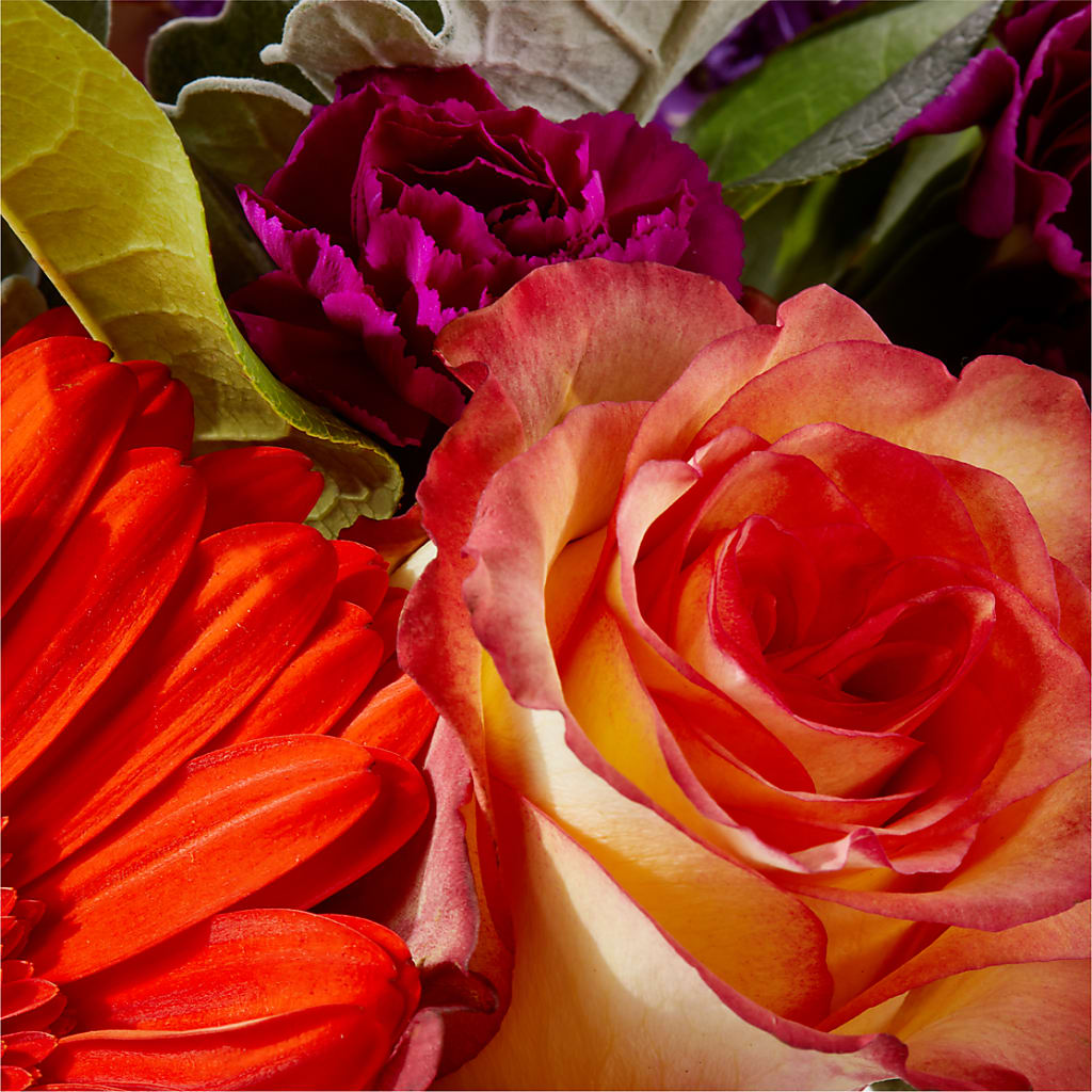 Sangria Bouquet – GEORGE'S FLOWERS, Los Angeles CA