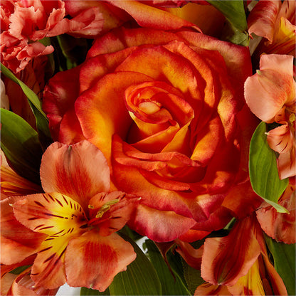 Apricot Glow Bouquet – GEORGE'S FLOWERS, Los Angeles CA