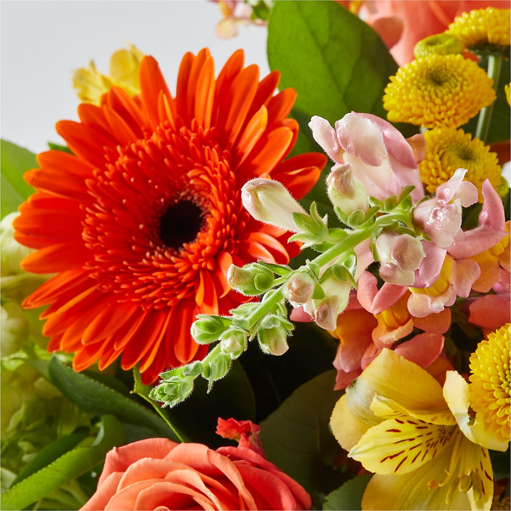 Autumn Sunshine Bouquet – GEORGE'S FLOWERS, Los Angeles CA