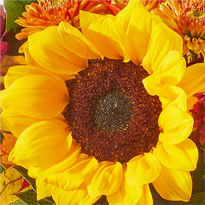 Sunny Side Bouquet – GEORGE'S FLOWERS, Los Angeles CA