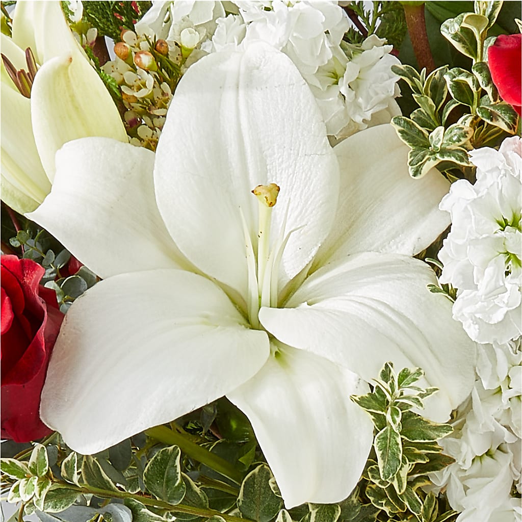 Twinkle Lights Bouquet – GEORGE'S FLOWERS, Los Angeles CA