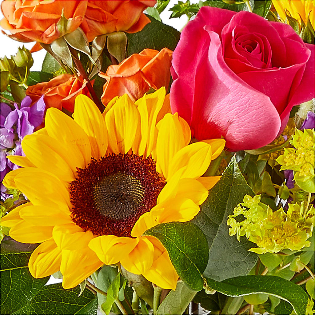 Vibrant Greetings Bouquet – GEORGE'S FLOWERS, Los Angeles CA