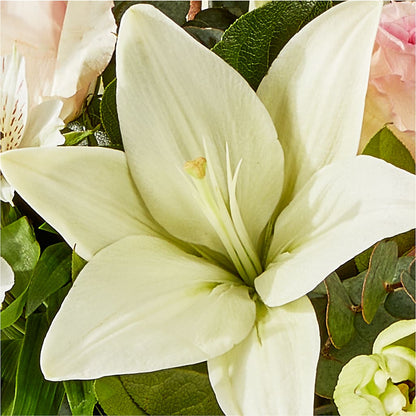 Ballet Slippers Bouquet – GEORGE'S FLOWERS, Los Angeles CA