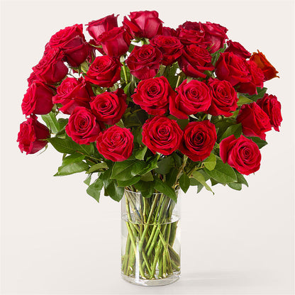 The One Red Rose Bouquet – GEORGE'S FLOWERS, Los Angeles CA