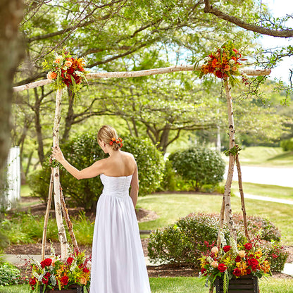 Arbor of Love Archway – GEORGE'S FLOWERS, Los Angeles CA