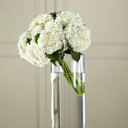 White Hydrangea Hand-Tied Bouquet – GEORGE'S FLOWERS, Los Angeles CA