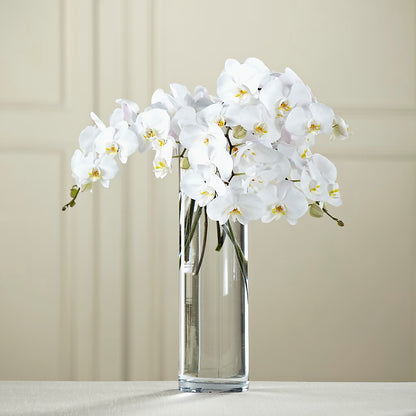 White Phalaenopsis Bouquet – GEORGE'S FLOWERS, Los Angeles CA