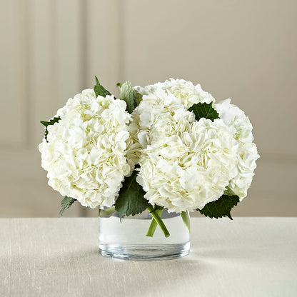 White Hydrangea Bouquet – GEORGE'S FLOWERS, Los Angeles CA